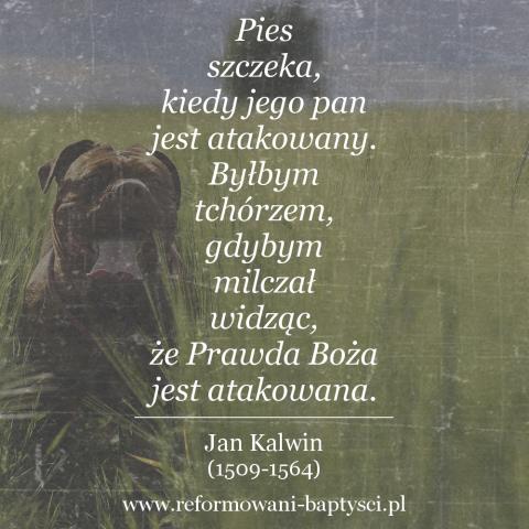 Reformowani Baptyści Zielona Góra: "Pies szczeka, kiedy jego pan jest atakowany. Byłbym tchórzem, gdybym milczał widząc, że Prawda Boża jest atakowana" – Jan Kalwin (1509-1564).